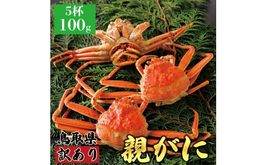 【ボイル】訳あり親ガニ(セコガニ) 100g 5杯鳥取県八頭町23000魚介・海産物カニ