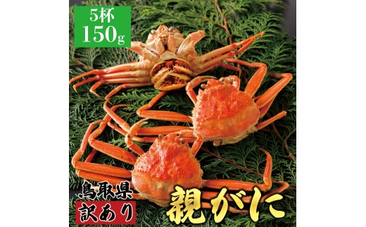 【ボイル】訳あり親ガニ(セコガニ) 150g 5杯鳥取県八頭町32000魚介・海産物カニ
