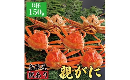 y{Cz󂠂eKj(ZRKj) 150g@8t挧43000ECYJj