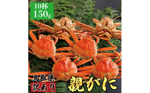 【ボイル】訳あり親ガニ(セコガニ) 150g 10杯鳥取県八頭町51000魚介・海産物カニ