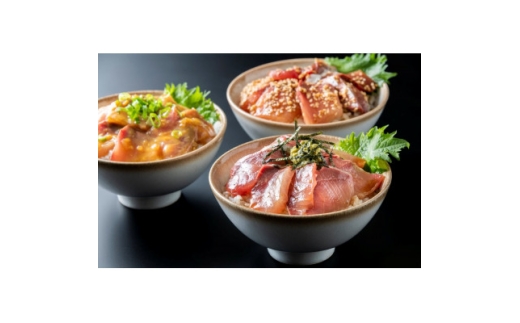 天然ぶり丼の具セット【1454115】富山県20000魚介・海産物その他 魚介・海産物