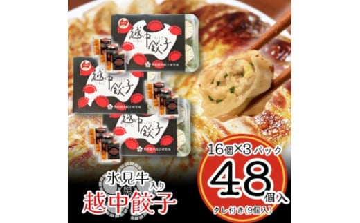 氷見牛入り越中餃子 3パック(48個入り)【1558389】富山県10000鍋セット・総菜・加工食品総菜