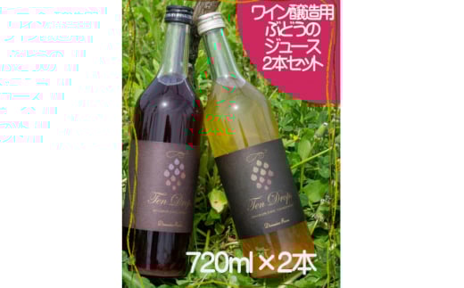 Domaine Beau テンドロップス ジュース2本セット【1568166】富山県20000お茶・飲料果汁・野菜飲料