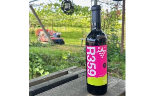 R359(TSN)2023y1633272zxR12000EAR[C