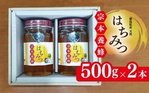 はちみつ 国産 500g 2本 天然 蜂蜜 化粧箱入 純粋 蜂蜜ギフト 健康食品 美容 食品 無添加 栄養豊富 生はちみつ ハチミツ ギフト 贈答 人気 はちみつ お取り寄せ グルメ ヨーグルト パン スイー