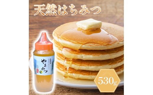 はちみつ山都物語(ボトルタイプ)530g徳島県吉野川市11000鍋セット・総菜・加工食品ジャム・はちみつ