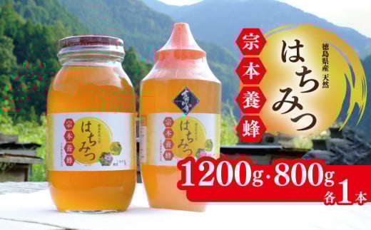 はちみつ 国産 セット 1200g 800g 各1本 天然 蜂蜜 純粋 蜂蜜ギフト 健康食品 美容 食品 無添加 栄養豊富 生はちみつ ハチミツ ギフト 贈答 人気 はちみつ お取り寄せ グルメ ヨーグルト パン ス
