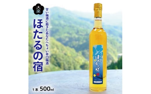~ ق̏h 500ml 1{ n 3N h ÂT ~  ʕ t[c ߂   ʎ  r[ nC{[ `[nC Ē { ECXL[ C Mtg  v[g