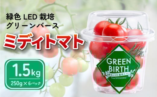 g}g ~fBg}g 1.5kg (250g×6) O[o[X 2025N 11` \  ₳ ʕ XC[c W[X g}gW[X pX^ XpQbeB \[X T_ hbVO ThCb`