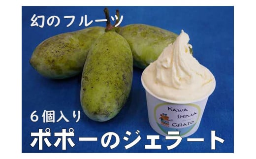 川島ジェラート かわしまポポ―(6個1箱セット)徳島県吉野川市14000菓子・スイーツアイス・ジェラート