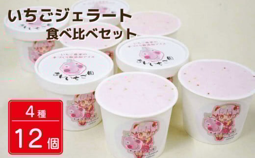 いちご 冷凍 ジェラート 12個 4種類 紅ほっぺ あまえくぼ ストロベリー 甘い 苺 あまい イチゴ フルーツ 食べ比べ セット 果物 デザート スイーツ 詰合せ 洋菓子 お菓子 ギフト プレゼント 贈