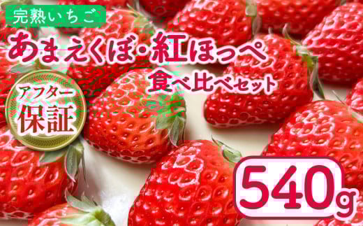  540g gق ܂ Hה Zbg ( 2026N 1 Jn )  2pbN ̂ Ԍ lC ʕ t[c VN { ~ t P[L V[gP[L fU[g Mtg 蕨  C