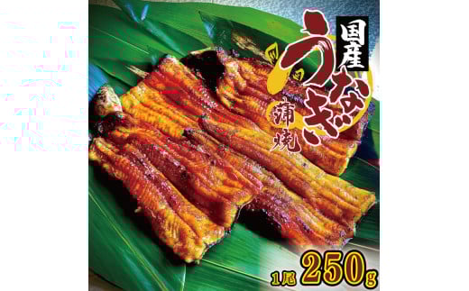 Ȃ Y V Ă 1 250g `̃^t YΏĂ EiM Ώ YȂ  VĂ ^ Zbg   y Mtg 蕨  yp̉N aH { Ⓚ  gs