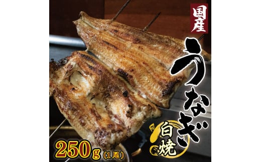 うなぎ 国産 鰻 白焼き 1尾 250g 高知県産あら塩付き 炭火焼き ウナギ 国産うなぎ 白焼 鰻白焼き 塩 あら塩 粗塩 セット 魚 魚介 惣菜 ギフト 贈り物 贈答 土用の丑 和食 日本料理 冷凍 徳島県