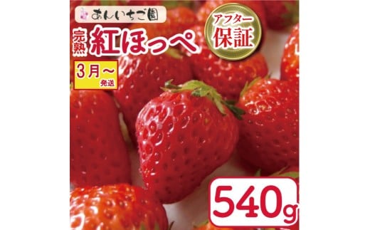  gق 2pbN 540g ( 2026N 3 Jn )  Ԍ lC ʕ t[c VN { ~ t P[L V[gP[L fU[g Mtg 蕨  C`S  Xgx[  g