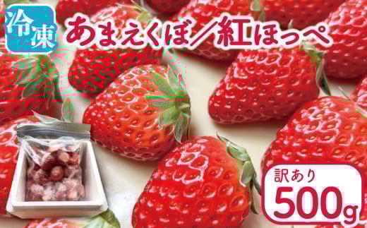 󂠂  Ⓚ gق ܂ 500g Ⓚ lC ʕ t[c Ⓚt[c t[Y X[W[ [Og ACXN[ VN { ~ t P[L V[gP[L fU[