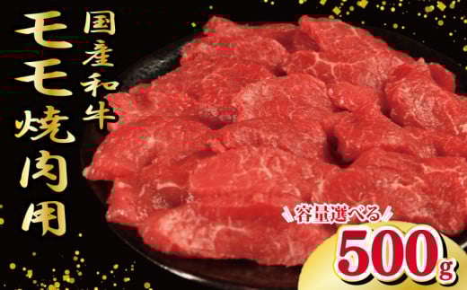 牛肉 もも 500g 焼肉 国産和牛 和牛 焼き肉 赤身 にく ぎゅう うし バーベキュー BBQ やきにく お祝い イベント パーティー おかず おつまみ 贈答 プレゼント 徳島県 吉野川市徳島県吉野川市1400