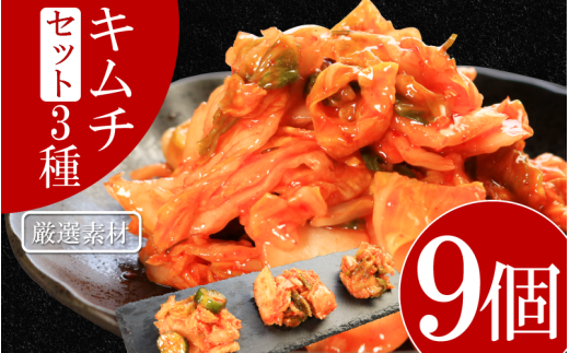 キムチ 3種 セット 各3個ずつ 計9個 本格キムチ カッパキムチ 白菜キムチ きゅうりキムチ ピリ辛 おつまみ 食物繊維たっぷり 韓国 乳酸菌 健康 ご飯 お供 旨味 国産野菜 キムチ鍋用 韓国料理