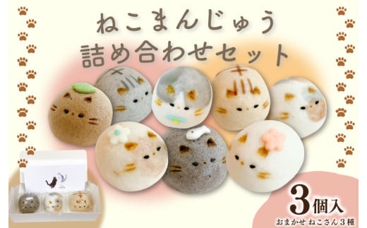 和菓子 上用まんじゅう ねこさん セット 選べる 容量 3個 冷凍便 和菓子 ギフト 贈り物 記念日 徳島県 吉野川市徳島県吉野川市6500菓子・スイーツその他 和菓子
