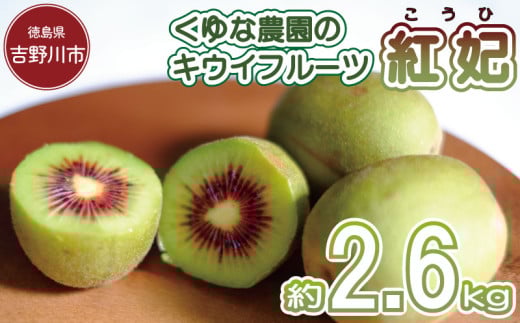 訳あり キウイフルーツ 紅妃 2.6kg 先行予約 2025年10月上旬〜 年内に発送予定 紅妃 レインボーレッド キウイ 国産 果物 デザート スイーツ ケーキ ゼリー ジュース ジャム シャーベット アイス