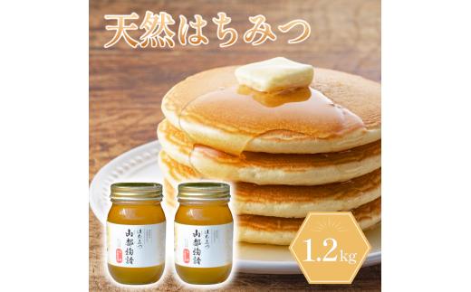 はちみつ 600g×2 1.2kg 国産 蜂蜜 ギフト プレゼント 個包装 無添加 無農薬 健康食品 山都物語 おすすめ徳島県吉野川市21000鍋セット・総菜・加工食品ジャム・はちみつ