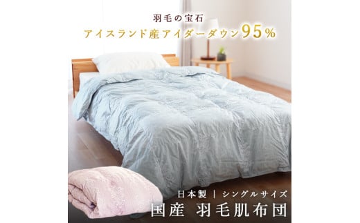 |zc FisNj AC_[_E95% 0.3kg Hє|zc VOO Ċ|zc zcJo[ zc Hѕzcgs1500000G݁EpiQE^I
