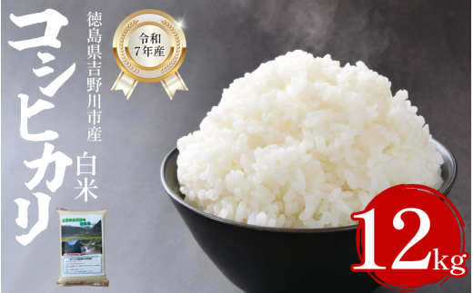 【先行予約】令和7年産 米 白米 選べる 容量 12kg (2kg × 6袋 )コシヒカリ 令和7年度産 お米 こめ 棚田米 白米 精米 ごはん ご飯 白飯 ゴハン  小分け 便利  徳島県 吉野川市徳島県吉野川市40000