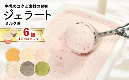ジェラート 詰め合わせ 120ml 選べる 個数 6個 ミルク系のみ  冷凍 フルーツ ギフト プレゼント 贈答 お取り寄せ グルメ 季節限定 冷凍 徳島県 吉野川市 株式会社マイスター社徳島県吉野川市10