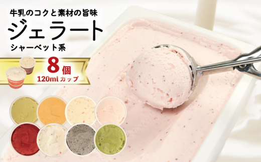 ジェラート  詰め合わせ 120ml 選べる 個数 8個  シャーベット系 のみ  冷凍 フルーツ ギフト プレゼント 贈答 お取り寄せ グルメ 季節限定 冷凍 徳島県 吉野川市 株式会社マイスター社徳島県