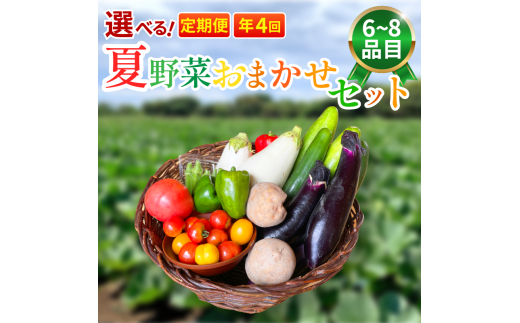 野菜 夏野菜 セット 6〜8品目 3人〜4人用 定期便 年4回 詰め合わせ 茄子 きゅうり ピーマン トマト ミニトマト 白茄子 オクラ 大葉 枝豆 ズッキーニ ししとう とうもろこし パプリカ じゃがい