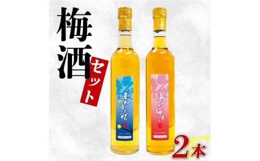 ~ Zbg ~ ق̏h ݔ 500ml v2{ ~  3N n E ʕ t[c ߂    ʎ  r[ nC{[ `[nC Ē { ECXL[ C