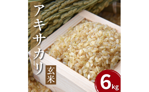 【先行予約】令和7年産 米 玄米 6kg ( 2kg × 3袋 )アキサカリ 令和7年度産 新米 1袋2kg 小分け お米 こめ 精米 健康 ごはん ご飯 白飯 ゴハン コメ 吉野川 徳島県 吉野川市徳島県吉野川市14000米