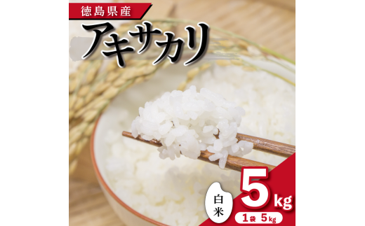 【先行予約】令和7年産 米 白米 5kg ( 5kg × 1袋 )アキサカリ 令和7年度産 1袋5kg 小分け  お米 こめ コメ 白米 精米 ごはん ご飯 白飯 ゴハン あきさかり おにぎり お弁当 徳島県 吉野川市徳島