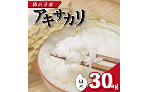 【先行予約】令和7年産 米 白米 30kg アキサカリ 令和7年度産 お米 こめ コメ 白米 精米 ごはん ご飯 白飯 ゴハン あきさかり おにぎり お弁当 徳島県 吉野川市徳島県吉野川市75000米・パン白米