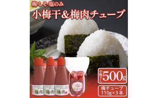 先行予約 梅干 昔ながらの しそ漬け 小梅干し 500g 1袋 梅肉チューブ 110g 3本 詰め合わせ 小梅干 梅肉 《 2025年11月から順次発送予定》 吉野川市 美郷産 梅 うめぼし 便利 安心 手作り 天日干し