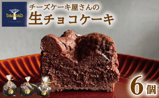 冷凍 生チョコ ケーキ 6個 ショコラ チョコ クリーム ギフト 個包装 お菓子  スイーツ デザート セット おやつ 焼き菓子 洋菓子 ギフト 差し入れ 贈り物 記念日 徳島県 吉野川市徳島県吉野川