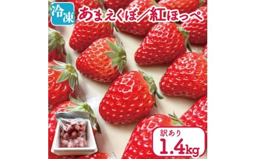 訳あり いちご 冷凍 紅ほっぺ あまえくぼ 1.4kg 冷凍いちご 人気 果物 フルーツ 冷凍フルーツ フローズン スムージー ヨーグルト アイスクリーム 新鮮 旬 冬 春 ケーキ ショートケーキ デザー
