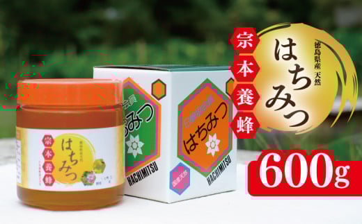 はちみつ 国産 600g 天然 蜂蜜 純粋 蜂蜜ギフト 健康食品 美容 食品 無添加 栄養豊富 生はちみつ ハチミツ ギフト 贈答 人気 はちみつ お取り寄せ グルメ ヨーグルト パン スイーツ 徳島県 吉