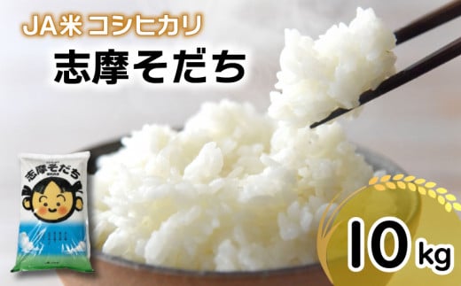 令和6年産 コシヒカリ 10kg JA米「志摩そだち」 ブランド米 新米 米 白米 精米 コシヒカリ お米 10kg ご飯 伊勢 志摩 三重県 20000円 2万円 二万円三重県志摩市20000米・パン白米