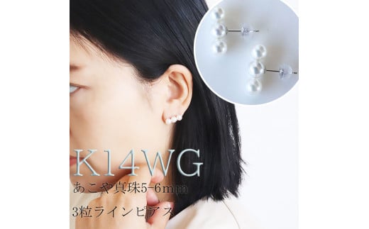 ^ ANZT[ sAX p[ 5~` 6~ K14 Od ɐu u   Mtg v[g fB[X ̓ NX}X o^C zCgf[ lC / uYAR