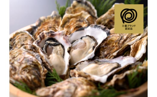 清浄 的矢かき(  殻付き 15個入 ・ むき身 500g セット )   かき 牡蠣 生牡蠣 剥き身 セット ブランド 的矢牡蠣 生食 生食用 三重県 伊勢 志摩 志摩市 的矢 牡蠣専門店 養殖場 直送 新鮮 牡蠣料