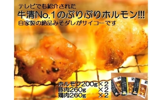 y017-17zƐ ݂_ HZbg  z 200×2 ؓ ×Q { ×Q/ јaz  o[xL[ BBQ Lv  Ԃ Ƃ  X t ɐu Od 17000 17