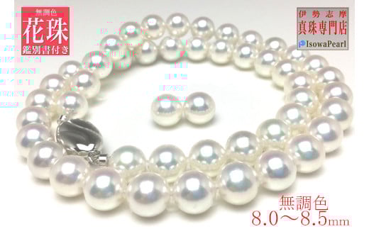 ^ lbNX CO Zbg K14 p[ 8~ ` 8.5~ ANZT[ WG[ Od ɐu u  ARL    tH[} / V܂̐^XE