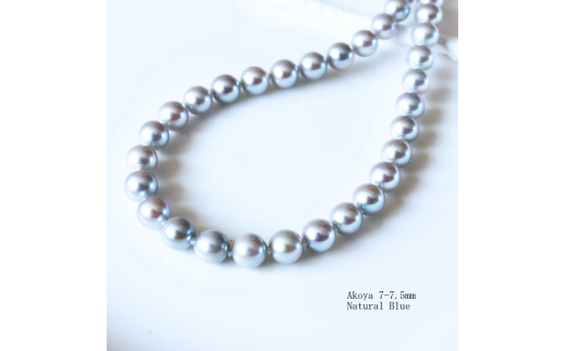 真珠 アクセサリー ネックレス パール 7mm 〜 7.5mm 伊勢志摩 志摩 志摩産 ギフト 母の日 ホワイトデー クリスマス 入学式 卒業式 成人式 結婚式 記念日 誕生日 フォーマル シンプル / 志摩産 あ