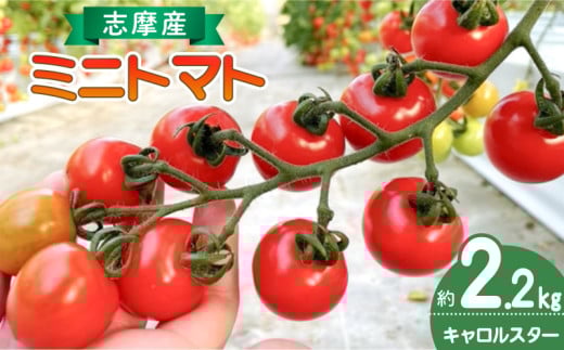 ミニトマト 2.2kg トマト 野菜 国産 キャロルスター サラダ パスタ 三重県 伊勢 志摩 10000円 1万円 一万円三重県志摩市10000野菜・きのこトマト