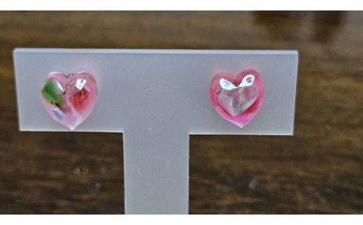 ピアス ステンレス アクセサリー レジン 手作り ハンドメイド アワビ サザエ 貝殻 プレゼント ギフト 三重県 志摩市 伊勢志摩 志摩 10000円 1万円 一万円  / 海洋プラスチックアップサイクル (