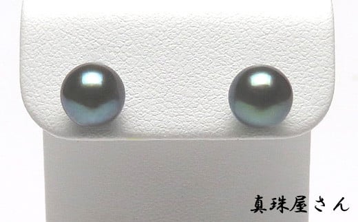 ^쉮  7.0`7.5~ i v`i sAX Pt900 uYAR^ ubNp[ ^ / ^ ANZT[ v`i p[ WG[ ɐu u ANZT[ Mt