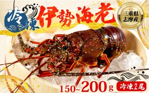 伊勢海老 150 ~ 200g 冷凍 2尾 数量限定 期間限定 伊勢海老 伊勢エビ 伊勢 海老 エビ イセエビ 刺身 焼き物 お味噌汁 鍋 ボイル エビフライ アレンジ可 新鮮 海鮮 ギフト 贈答 三重県 志摩市三重