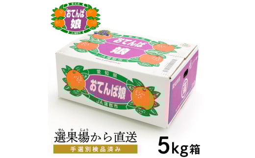【G0190】【期間限定】蒲郡みかん「おてんば娘」約5kg愛知県蒲郡市18000果物・フルーツみかん・柑橘類
