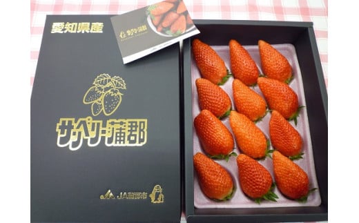 【G0358】【期間限定】サンベリー蒲郡いちご「あきひめ」(12個入)愛知県蒲郡市12000果物・フルーツみかん・柑橘類